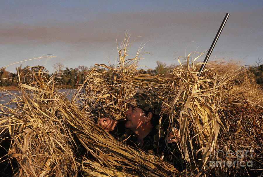 Hunter Using A Birdcall In A Blind Photograph by Ron Sanford