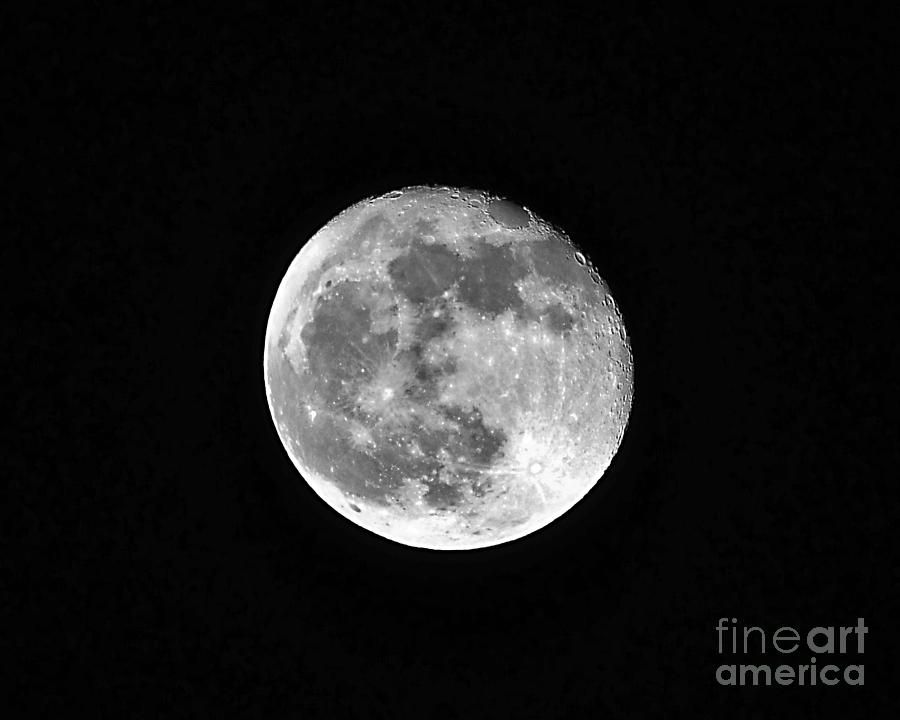 Hunters Moon Photograph - Hunters Moon by Al Powell Photography USA