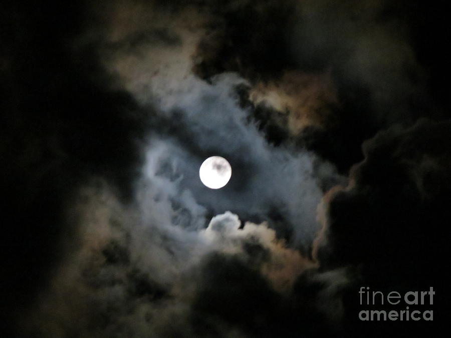 Hunters Moon Photograph by Anita Adams
