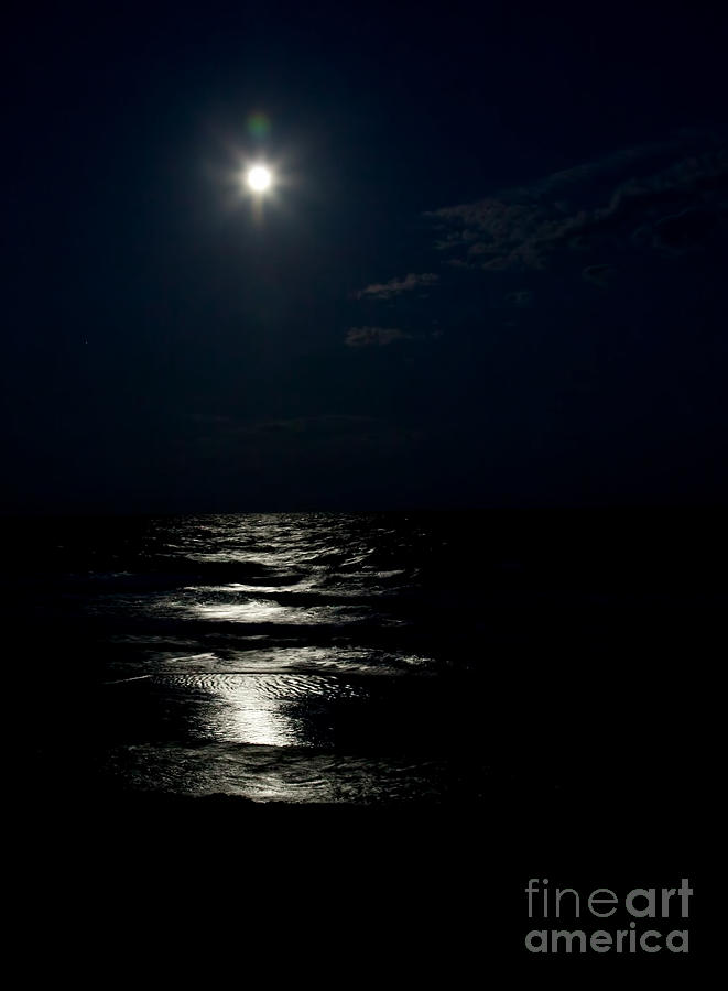 Beach Photograph - Hunters Moon II by Michelle Constantine