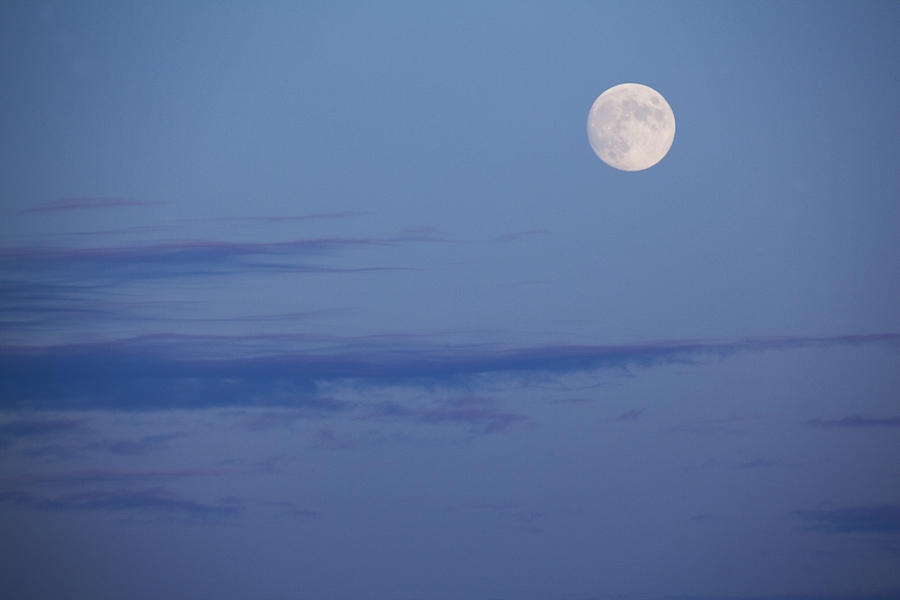 Hunters Moon Photograph by Steve Gravano