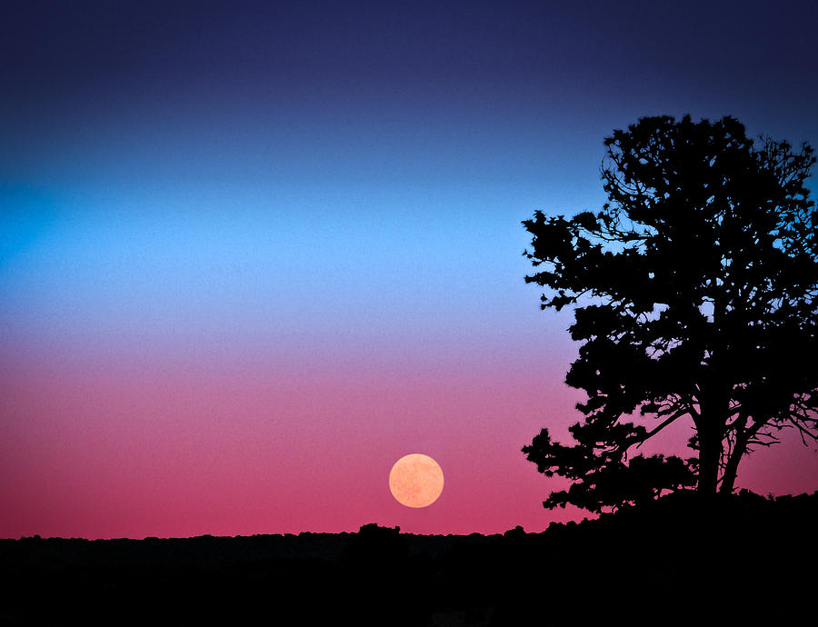 Hunters Moonrise in Eastern Arizona Photograph by John Haldane