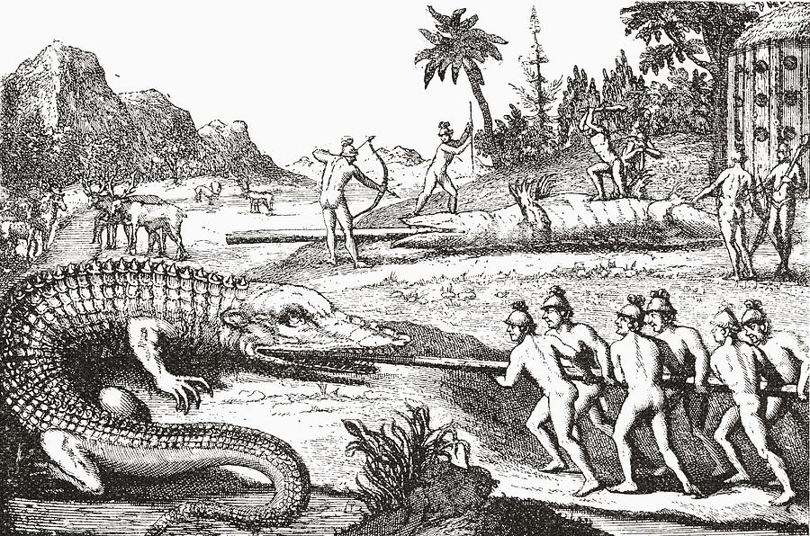 Alligator Drawing - Hunting alligators in the Southern States of America by Theodor de Bry