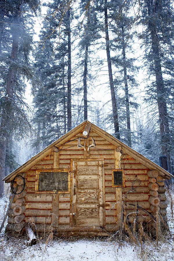 Hunting Cabin in Alberta Photograph by Curtis Trent