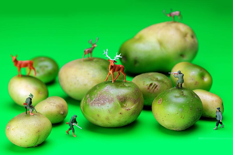 Hunting deer on yellow green potatoes miniature art  Photograph by Paul Ge