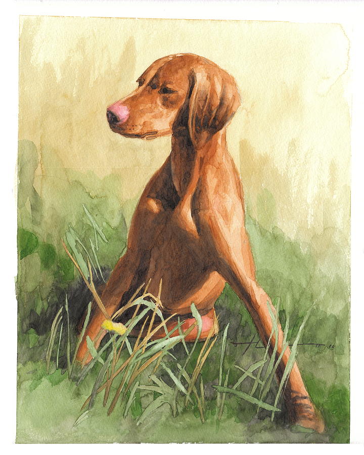 Hunting Dog Puppy Watercolor Portrait Drawing by Mike Theuer Hunting Dog Puppy Watercolor Portrait Drawing by Mike Theuer