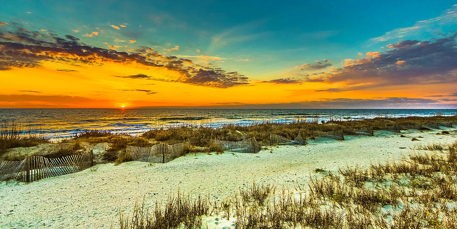 Hunting Island Beach In Beaufort Sc by Philip Heim