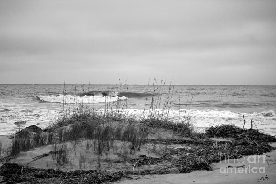 Hunting Island Beach in Black and White Photograph by Sandra Clark