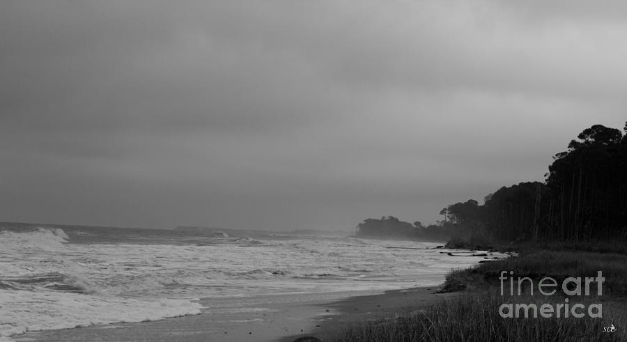 Hunting Island Coast at Dawn in Black and White Photograph by Sandra Clark