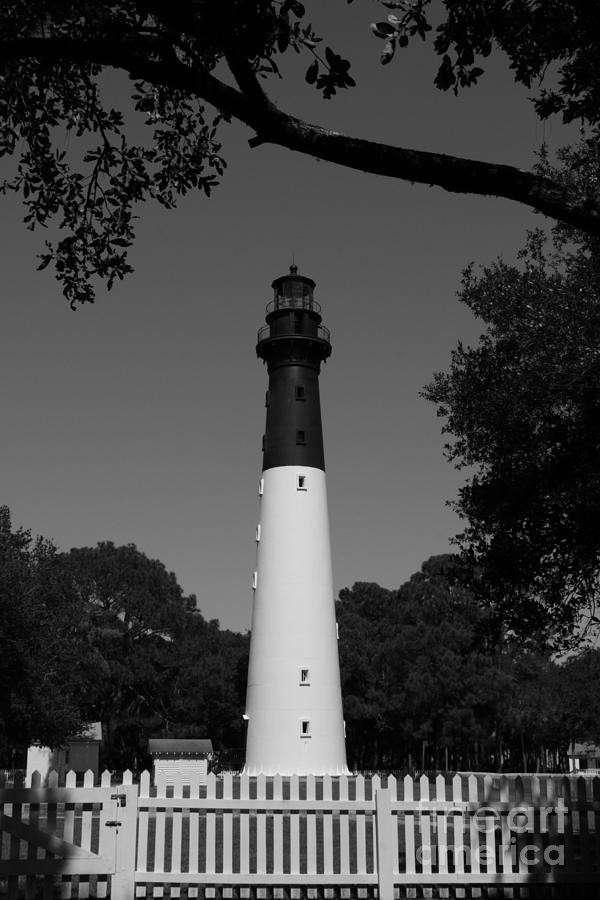 Hunting Island Lighthouse Photograph by Cortney Price