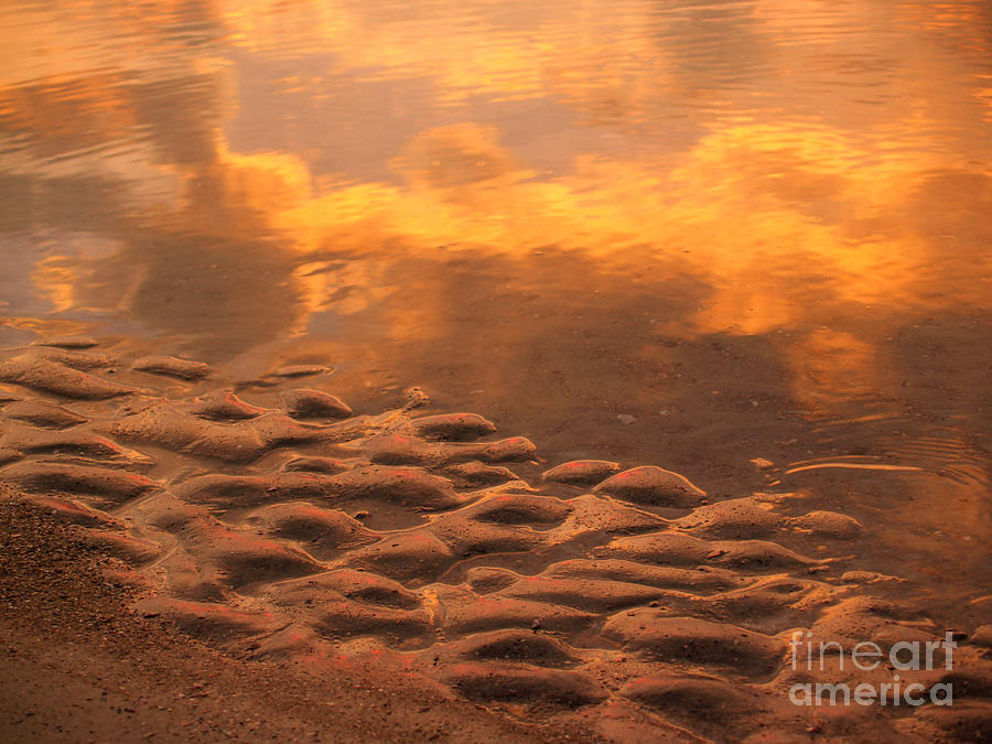 Beach Photograph - Hunting Island Sunrise Reflections by Anna Lisa Yoder