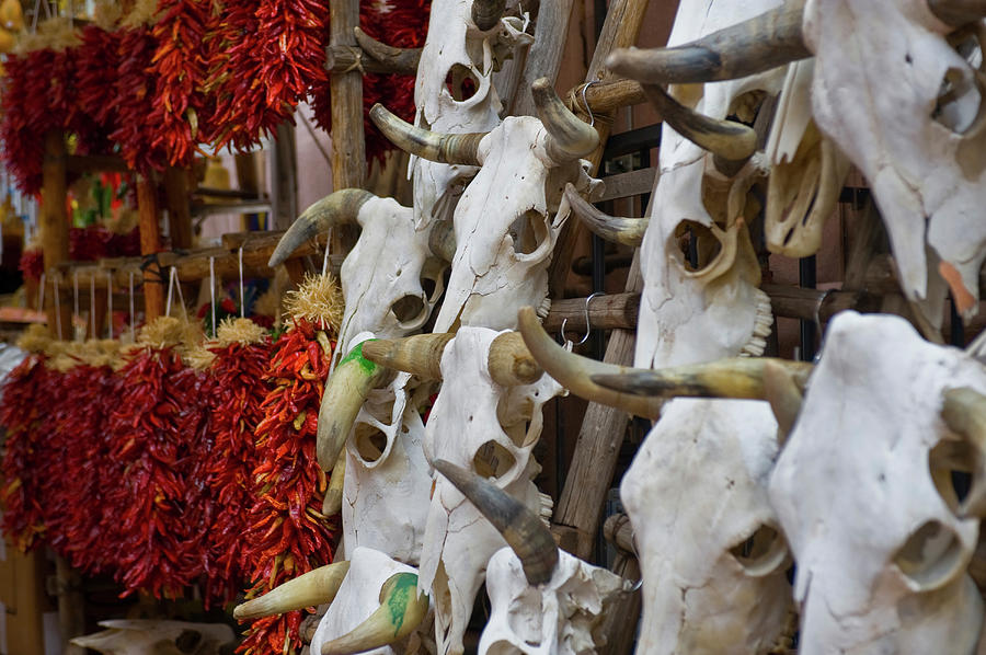 Hunting Trophies And Chili Peppers Photograph by Panoramic Images