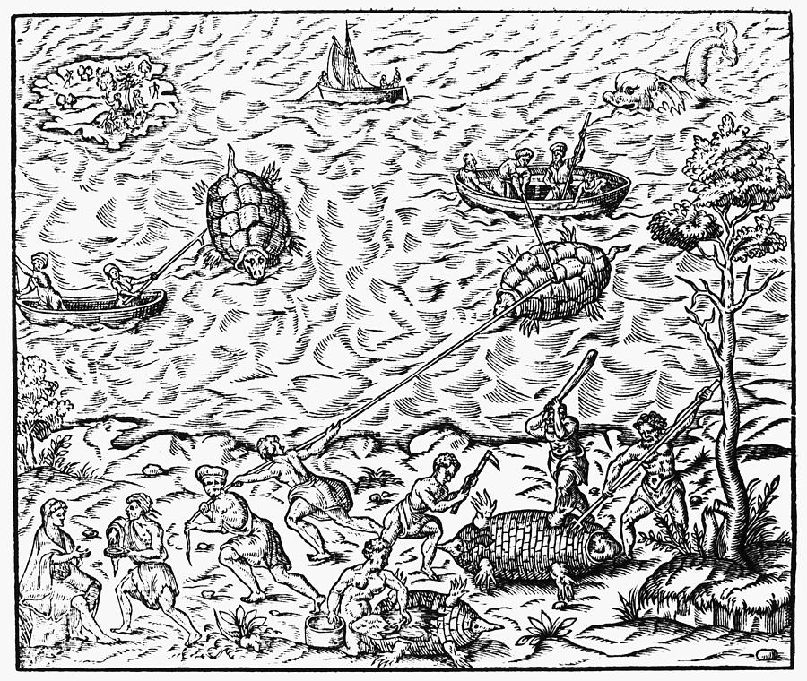 Hunting Turtles, 1575 Painting by Granger