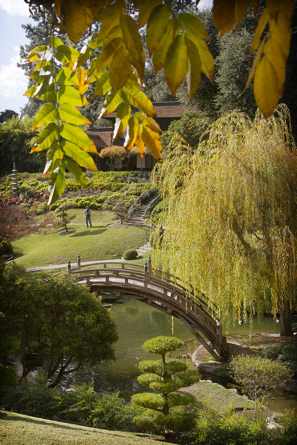 Huntington Library 2 Photograph by The Ecotone - Fine Art America