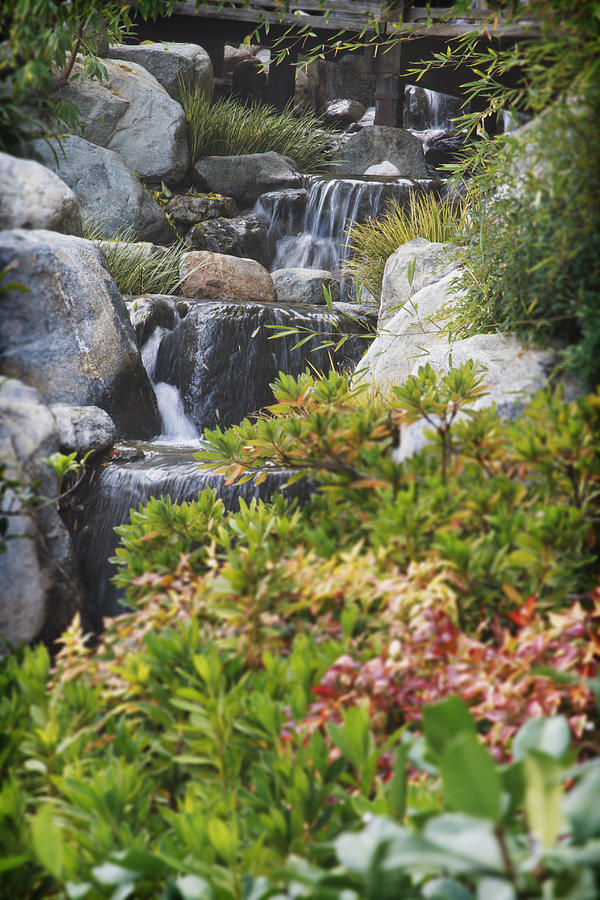 Waterfall Photograph - Huntington Library 5 by The Ecotone