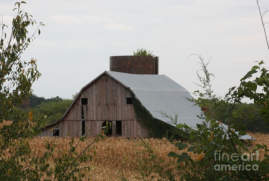 Huntsville Highway 24 Barn Photograph by Anthony Cornett