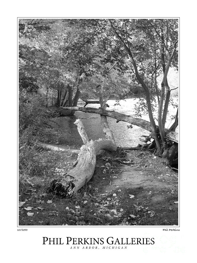Huron River Driftwood Photograph by Phil Perkins Huron River Driftwood Photograph by Phil Perkins