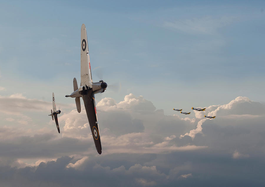 Hurricane - Opening Moves Photograph by Pat Speirs