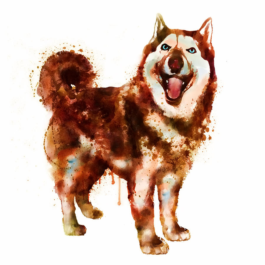 Husky Dog watercolor Painting by Marian Voicu