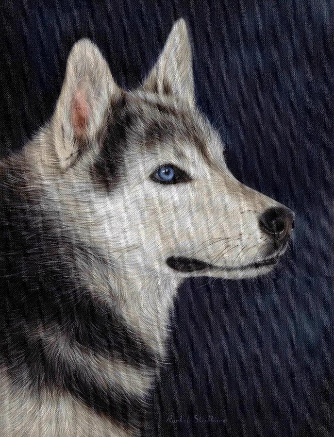Husky Portrait Painting Painting by Rachel Stribbling