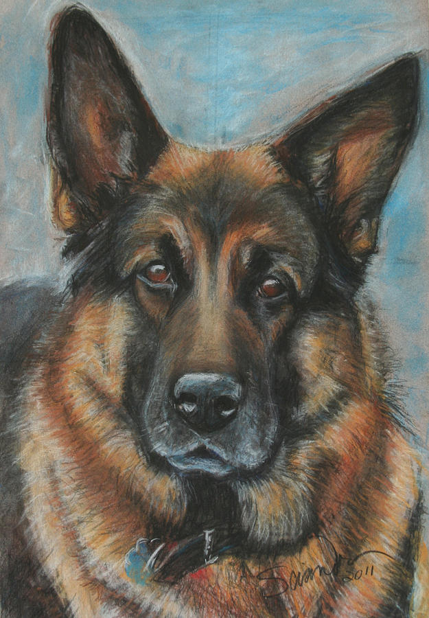 Hussler-German Shepherd Dog Painting by Sciandra  