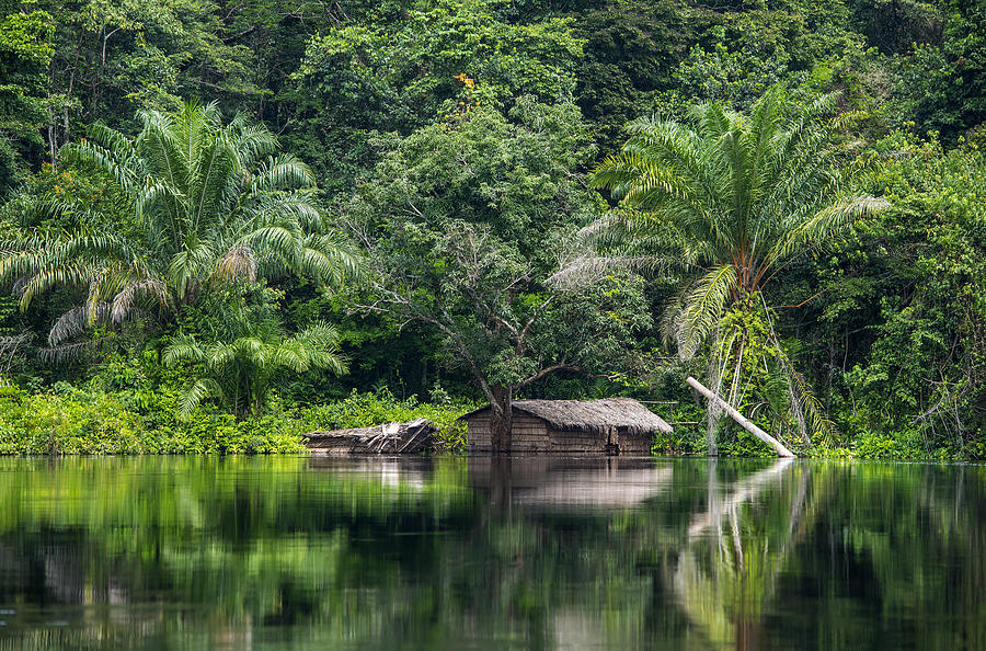 Hut at the shoreline of Congo River Photograph by Guenterguni