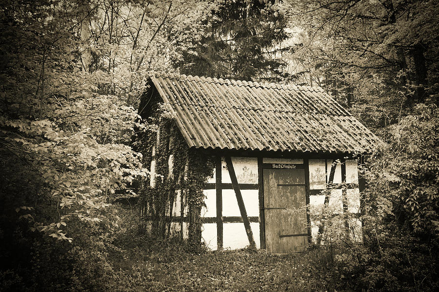 Hut in the forest sepia vintage style Photograph by Matthias Hauser