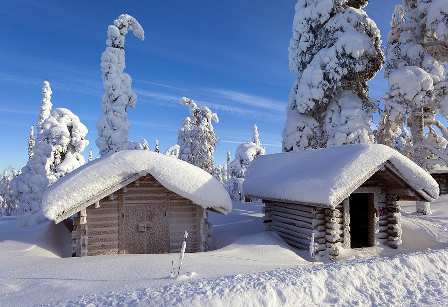 Huts in forest after heavy snowfall Photograph by Science Photo Library
