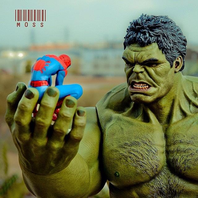 Hulk Photograph - Hvs #mytoysquad #socaltoygroup #hulk by Timmy Yang
