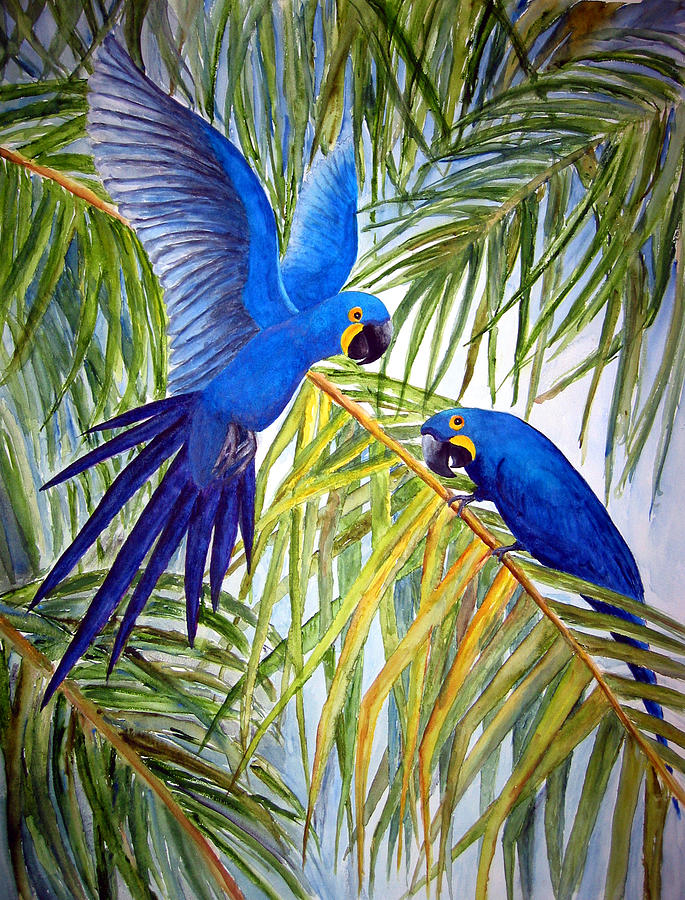 Hyacanth Macaws Painting by Patricia Beebe