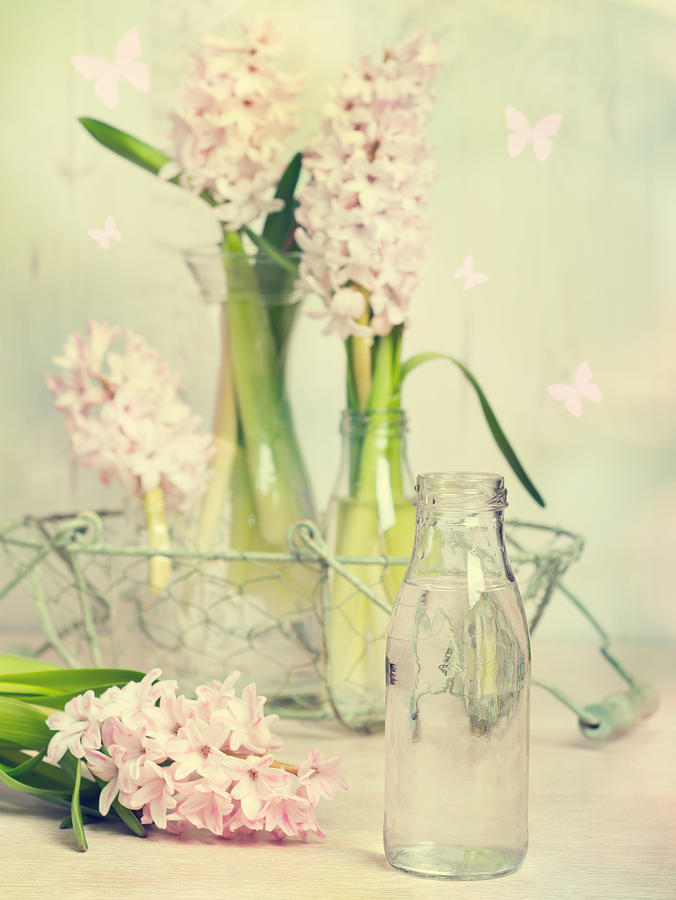 Spring Photograph - Hyacinth Arrangement by Amanda Elwell