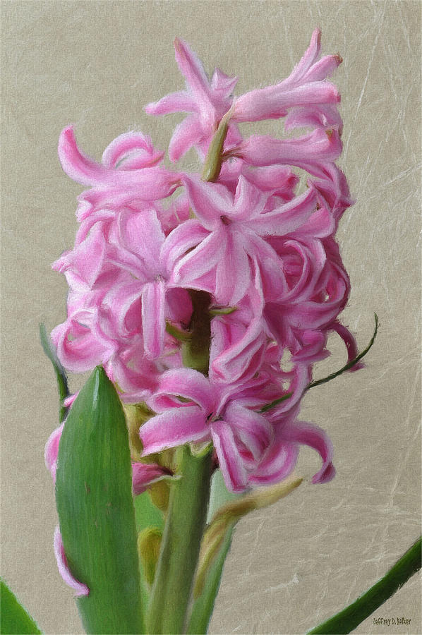 Flower Painting - Hyacinth Pink by Jeffrey Kolker