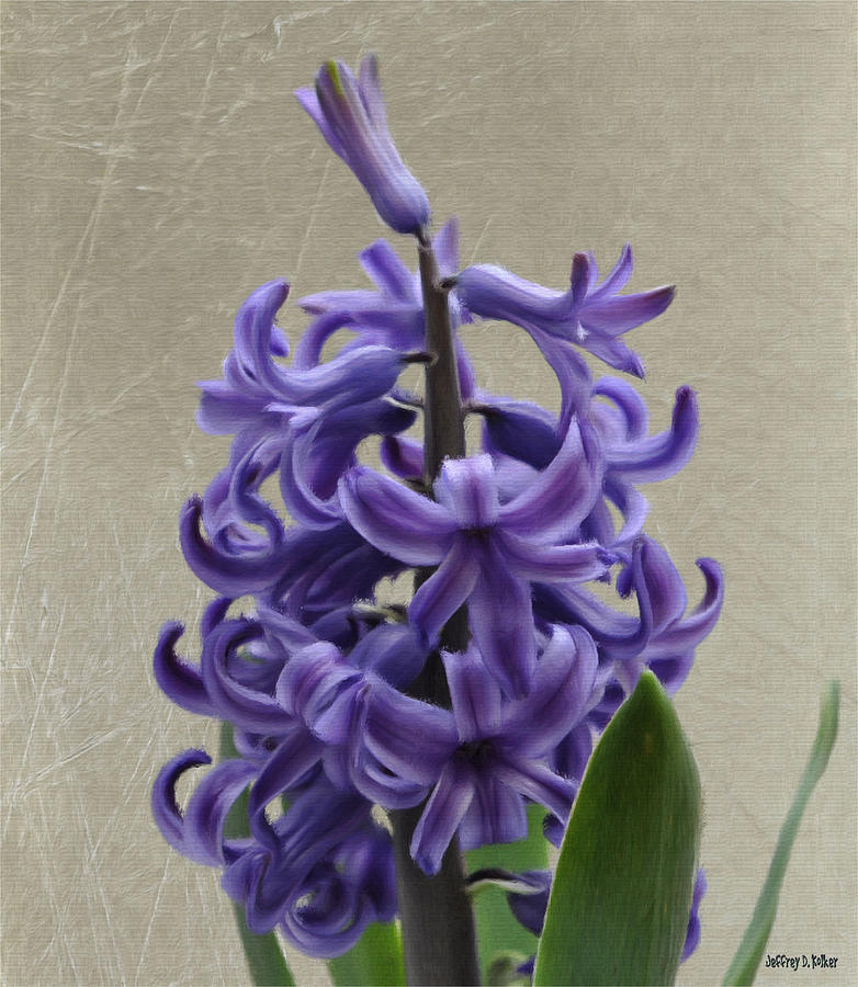 Flower Painting - Hyacinth Purple by Jeffrey Kolker