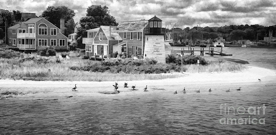 Hyannis Light Migrating Geese BW Photograph by Jack Torcello