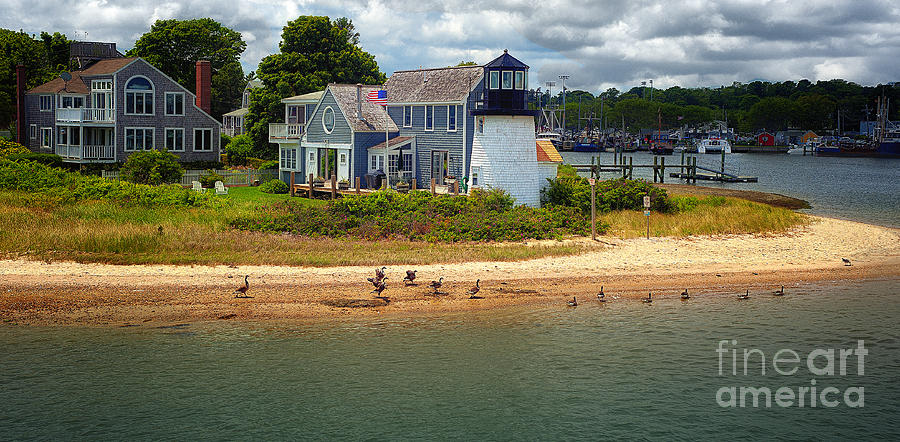 Hyannis Light Migrating Geese Photograph by Jack Torcello
