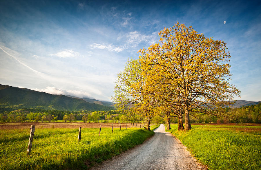Spring Photograph - Hyatt Lane Cades Cove Great Smoky Mountains National Park by Dave Allen