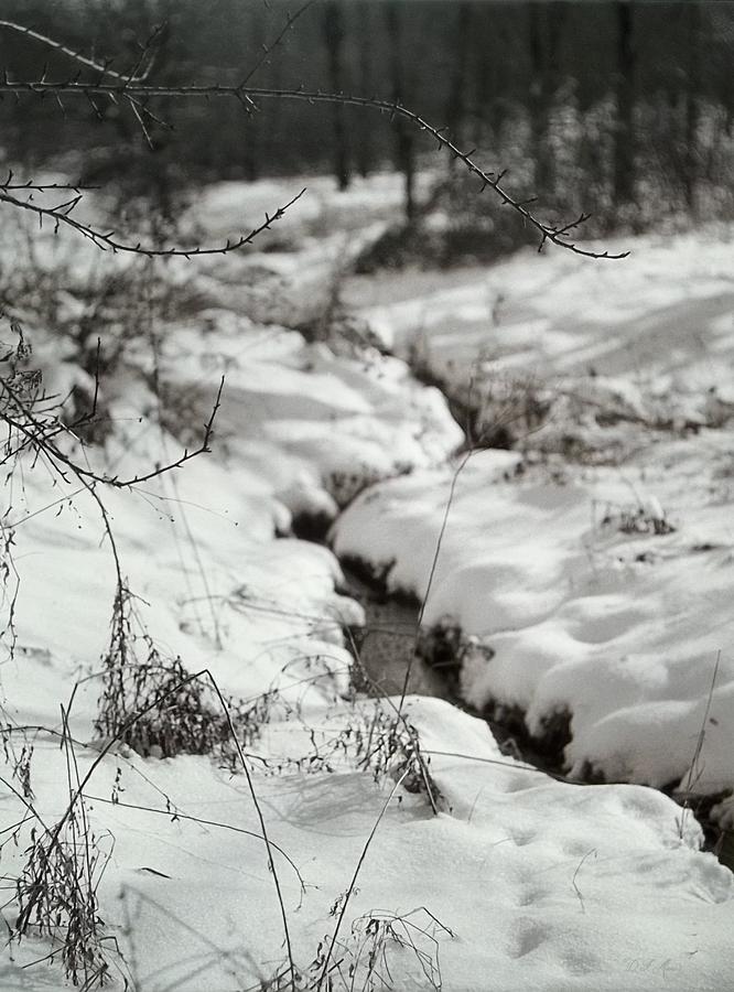 Winter Landscape Photograph - Hybernation by Dale Francis Mara