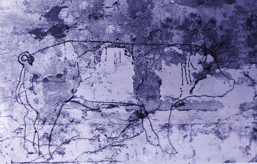 Hybrid Boar 5 Drawing by Larry Campbell