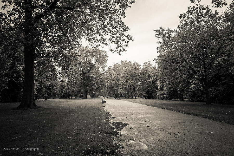 Hyde Park - for Eugene Atget Photograph by Ross Henton