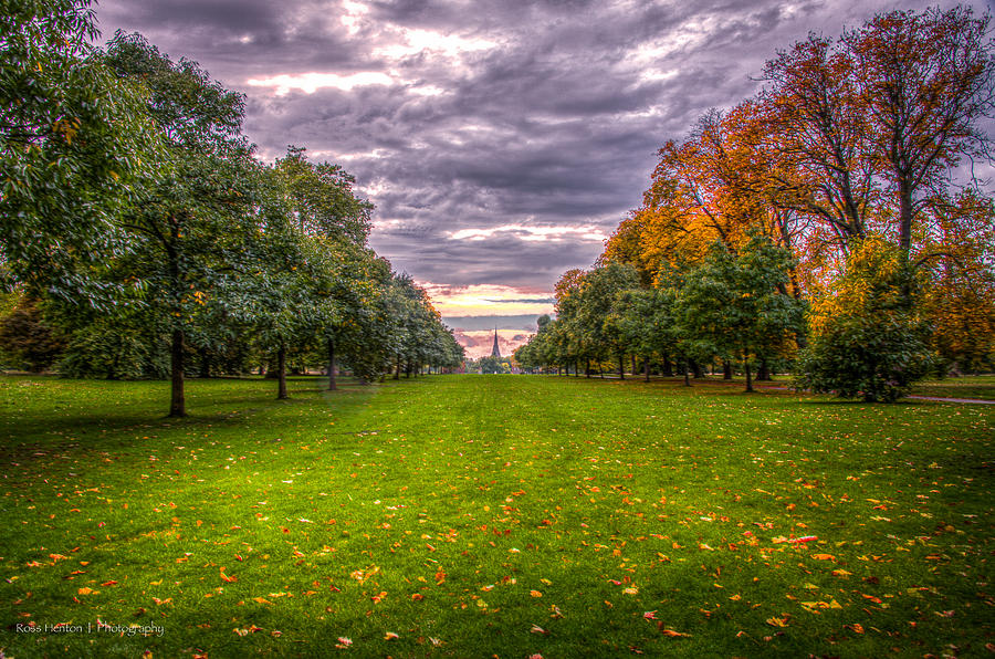 Hyde Park at Sunset Photograph by Ross Henton
