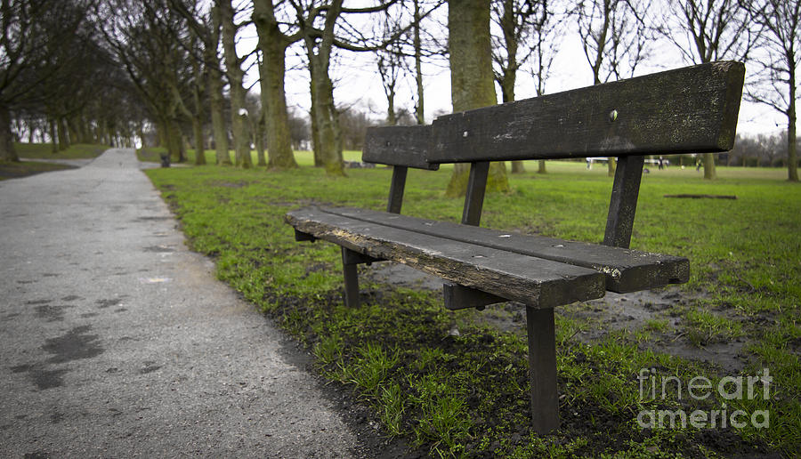 Hyde Park Bench Photograph By Jordan Bickerstaffe