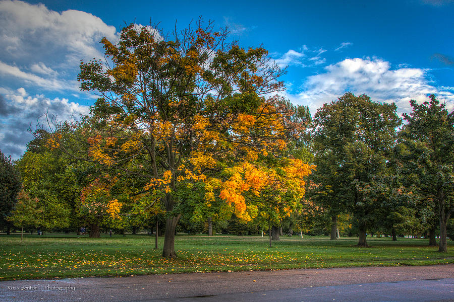 Hyde Park in Autumn Photograph by Ross Henton
