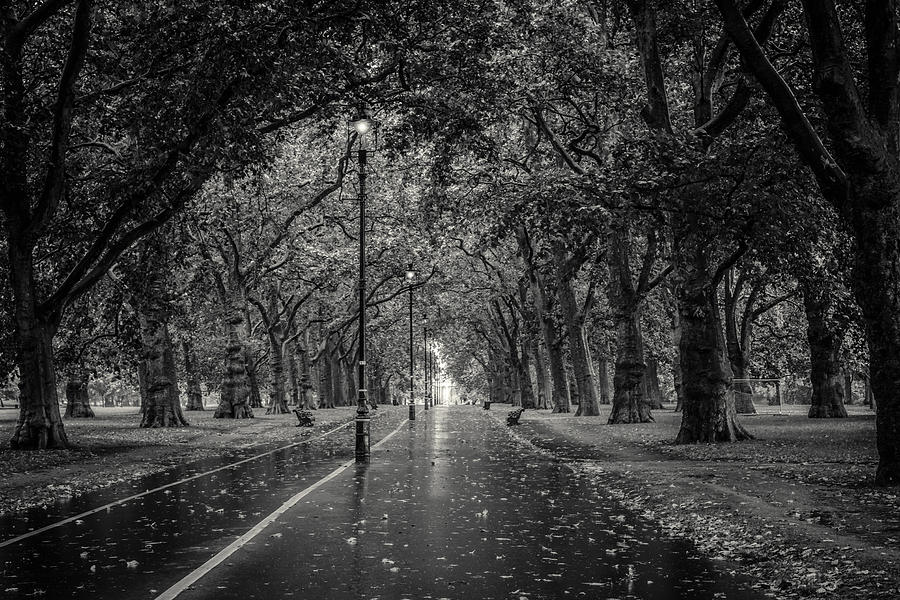 Hyde park ave Black and White Stock Photos & Images - Alamy