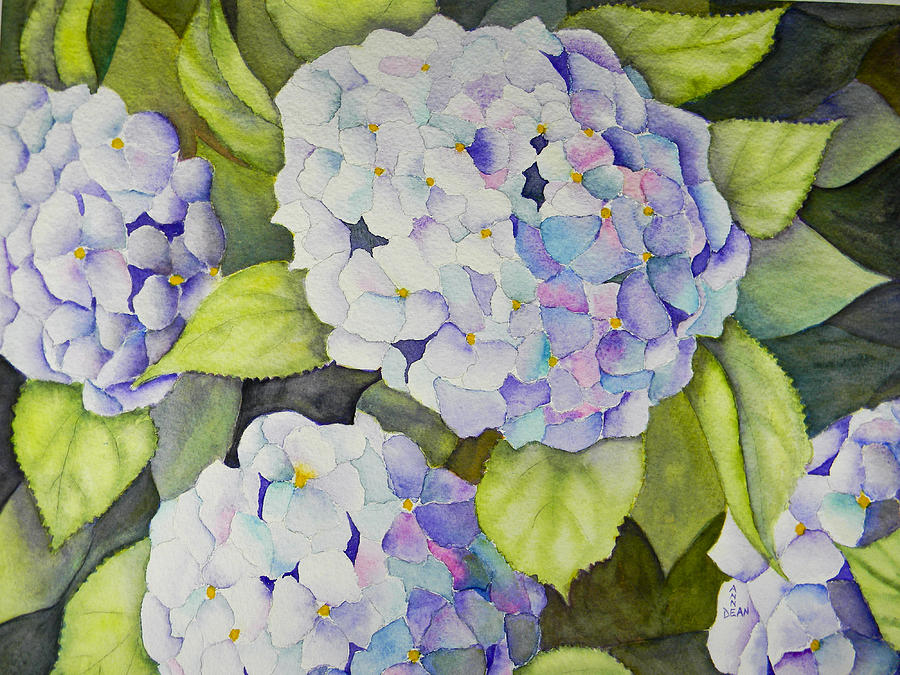 Hydrangea Painting by Anne Dean | Fine Art America