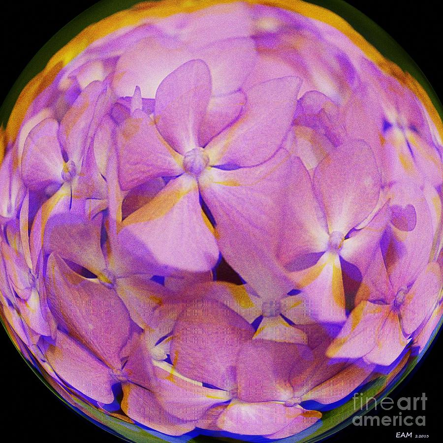 Hydrangea Ball Digital Art by Elizabeth McTaggart