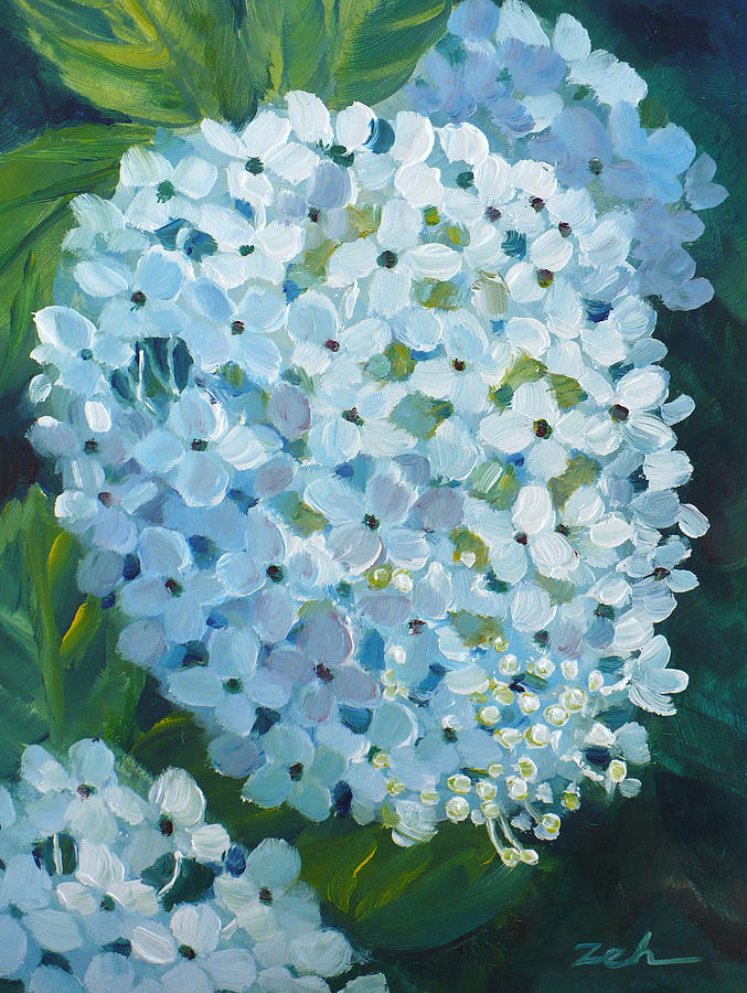 Hydrangea Blossom Painting by Janet Zeh