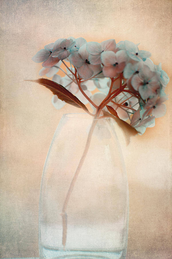 Hydrangea Bouquet Photograph by Bonnie Bruno - Fine Art America
