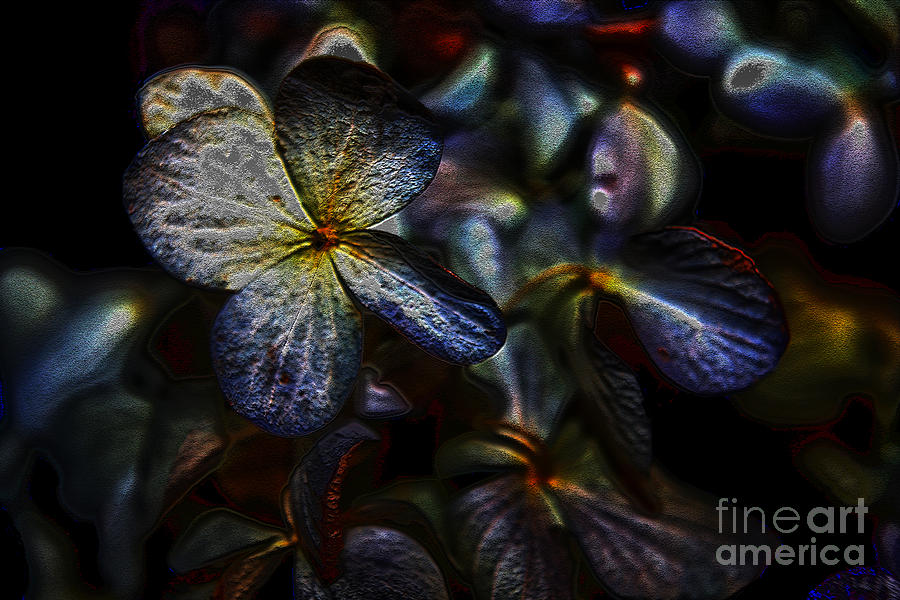 Hydrangea Close Up Art I Photograph by Lesa Fine
