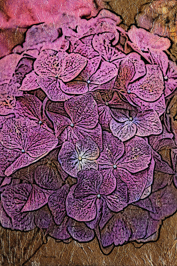 Hydrangea Gold Leaf Photograph by Phyllis Denton