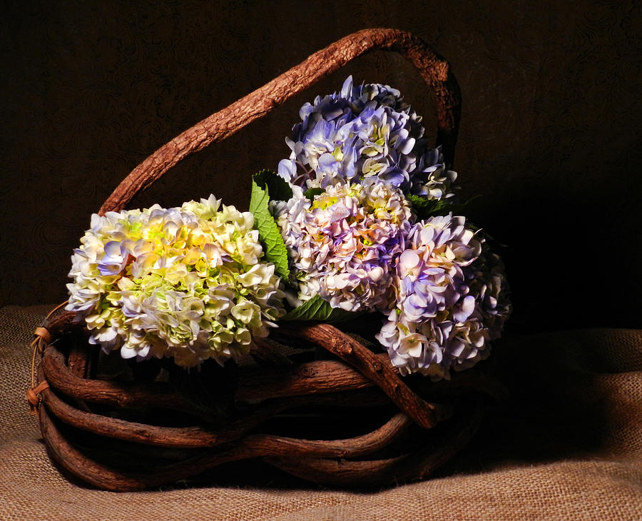 Hydrangea In Twig Basket Photograph
